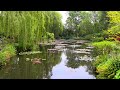 "Impression" from PEACEFUL POND by Dean Evenson & d'Rachael
