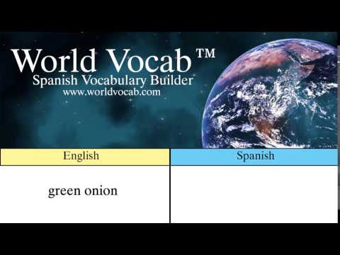 Free Spanish Quick Vocab™ :Green Onion - la cebolla verde