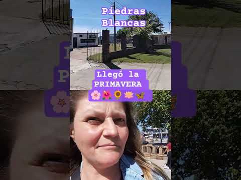 Llegó la PRIMAVERA a PIEDRAS BLANCAS 🧙🪄🌸🌺🌻🪷🦋 #PRIMAVERA #PIEDRASBLANCAS #montevideo #tribucuantica