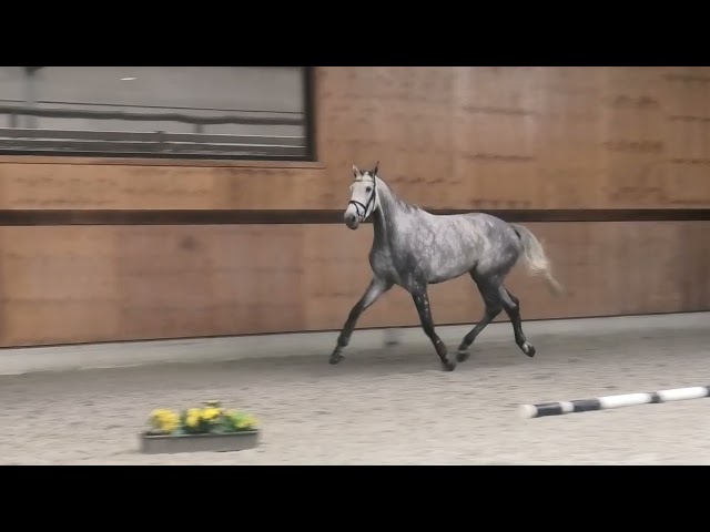 Gaits