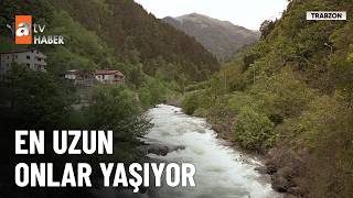 80 yaş barajını aşan şehir: Trabzon - atv Ana Haber 14 Haziran 2026