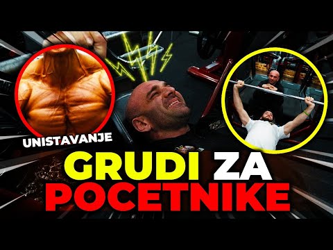 Najbolji Trening GRUDI za POCETNIKE 🏆