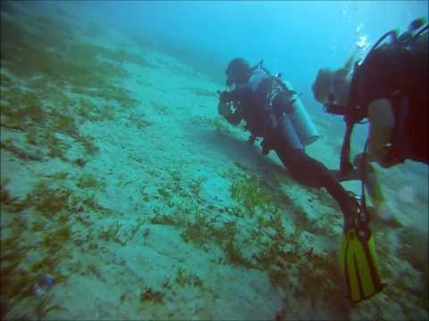 Highlights of marine life while scubadiving in Aqaba - Jordan (2013)