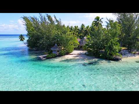 The Most Beautiful Bora Bora Drone Footage