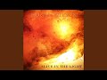 Alive in the Light