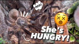 i think SHE WAS HUNGRY !!! 😵