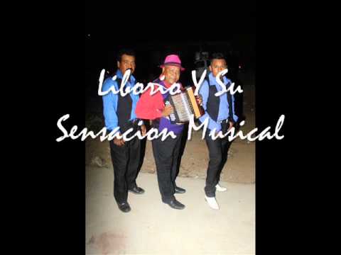 Liborio y su Sensación Musical: Culebrea