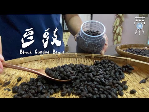 古法天然發酵—採天然絲瓜葉發酵黑豆，製作成美味的豆豉 ▍Black Curded Beans  ▏Traditional natural fermentation  ▏countryside life