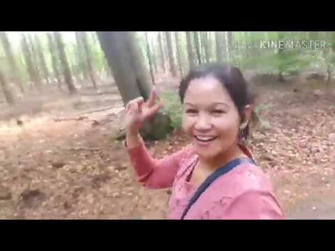 Loenermark, Loenen Apeldoorn, Netherlands