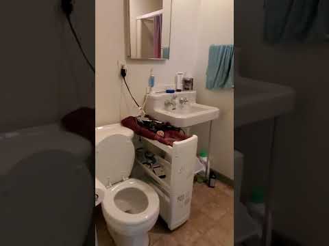 1-Bedroom Apartment Near WWU & Downtown - Video 2 of 2