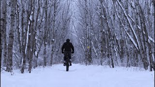 My Camera Gear, A Fat Bike, and a Forest