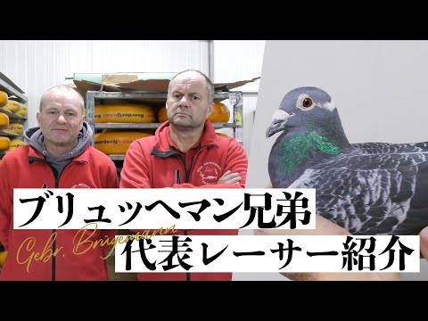 Brügemann brothers | Magic performance at Barcelona!! from the legendary Orhan x Mira pair!!