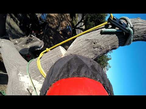 Span Rigging A Chunk