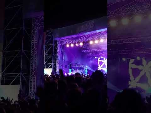 Żabson i POGO na Puerto Bounce