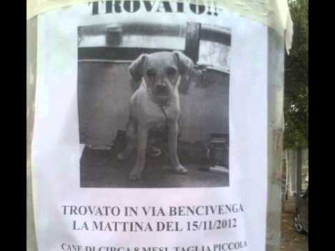 HO PERSO IL MIO CANE di Ligadog