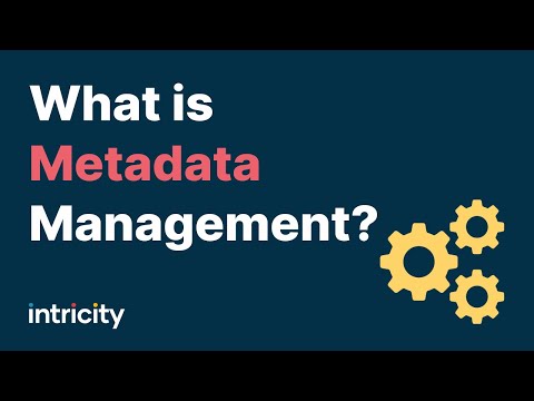 image-What is metadata design and why is it important?