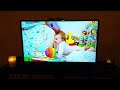 Dizzy Blossom On America S Funniest Home Videos AFV Season 33 Episode 03