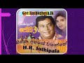 Sihina Ahase Wasanthe H R Jothipala With Sunflower
