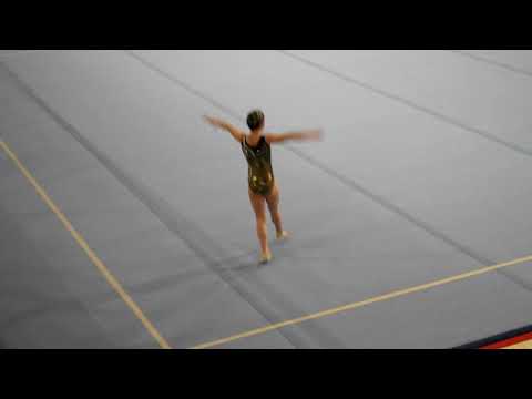 DIANA BRAMBILLASCA - ARCORE 25/02/2016 - ALLIEVE GAF A3 - CORPO LIBERO