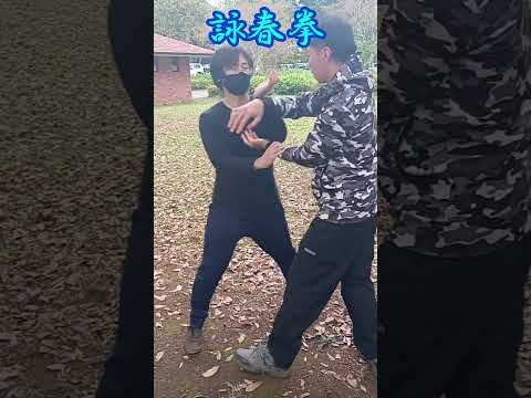 正中線の防御が堅牢な相手をいかに崩し突破するかが課題｜詠春拳