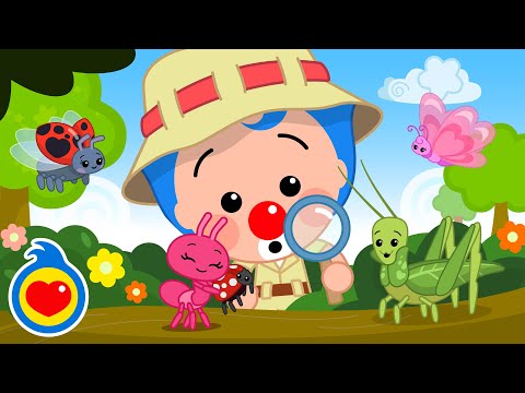 ¡Vamos A Buscar Insectos! 🐜🐛 Canciones Infantiles | Plim Plim