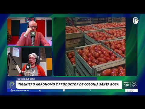 HÉCTOR DOMÍNGUEZ, INGENIERO AGRÓNOMO Y PRODUCTOR DE COLONIA SANTA ROSA EN UN DÍA A LA VEZ 13/8/25