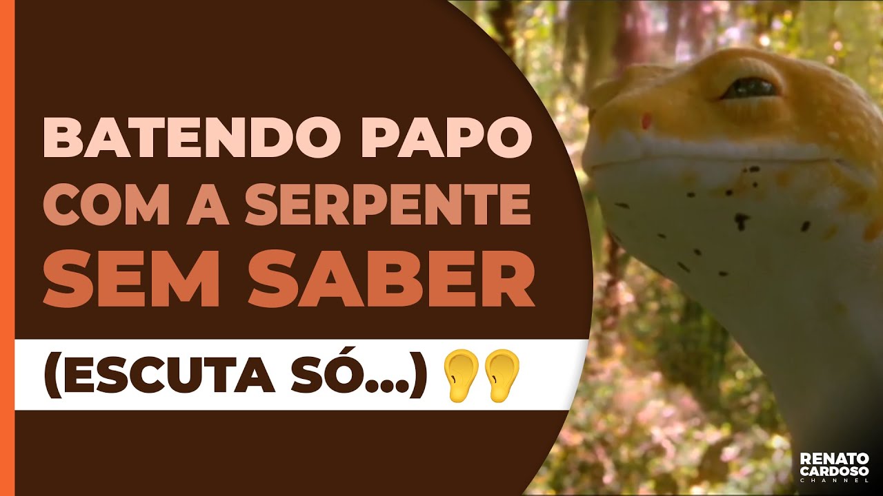 BATENDO PAPO COM A SERPENTE SEM SABER (ESCUTA SÓ&#8230;)
