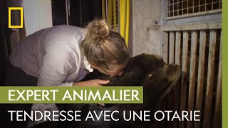 Tendre moment entre Lucky l'otarie et sa soigneuse | UNE SAISON AU ZOO