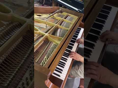 Grand piano Knabe image 10