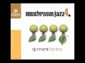 SpaceHopper   Find Yourself endless   Mark Farina  - Mushroom Jazz 4