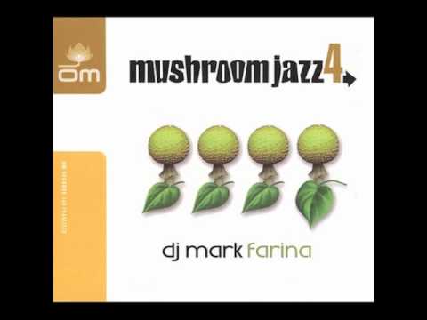SpaceHopper   Find Yourself endless   Mark Farina  - Mushroom Jazz 4