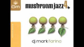 SpaceHopper   Find Yourself endless   Mark Farina  - Mushroom Jazz 4