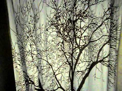 The California 4 Apartment