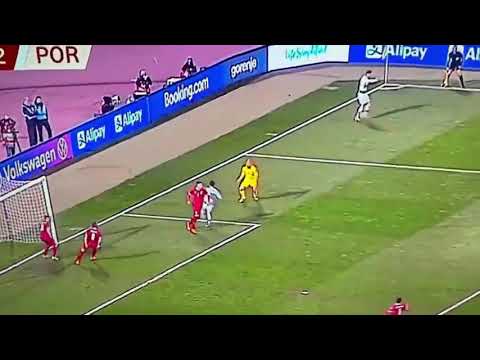 Ronaldo Disallowed Goal vs Serbia | Serbia 2-2 Portugal