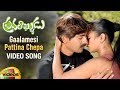 Pravarakyudu Songs Gaalamesi Pattina Chepa Song Jagapathi Babu Priyamani And Hamsa Nandini