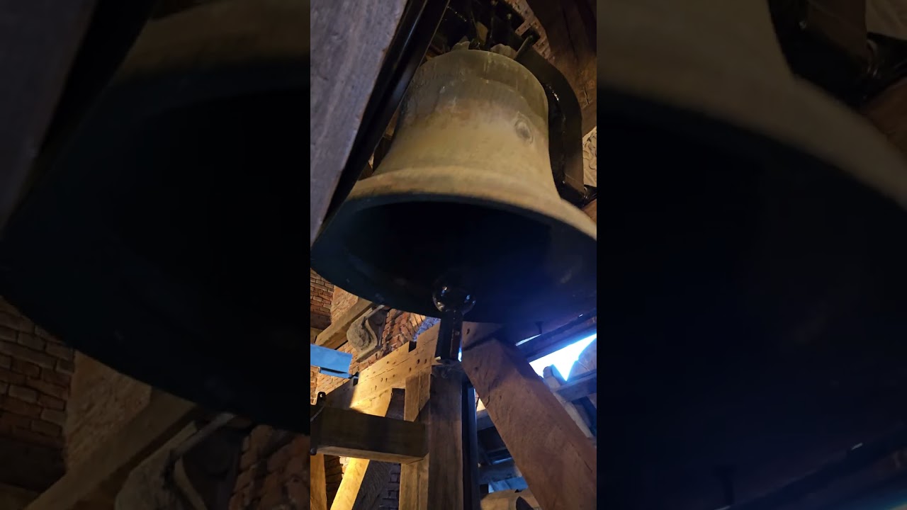 YouTube Short thumbnail