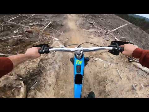 Whakarewarewa Forest Rotorua  - Kung Fu Walrus stage 1 (spring season)