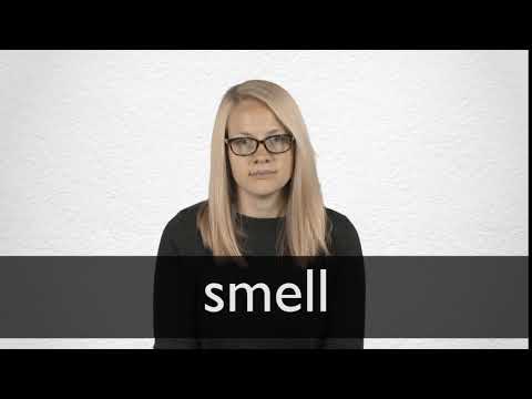 Nylon Smell Video