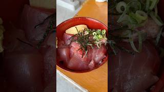 和歌山・那智勝浦 勝浦漁港で生マグロ丼🍣 #japan #travel #グルメ