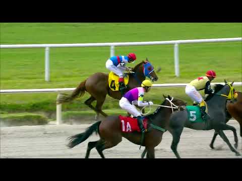 221223 c01 LUNATICO AVE