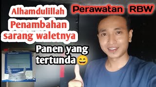 Download lagu Pjw vs inap liur 77 sukses mp3