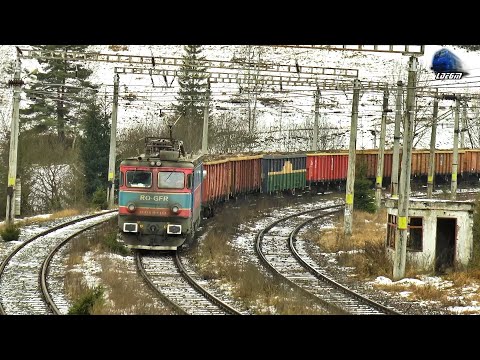 LE5100KW 40-0517-5 & Marfar GFR Freight Train in Gara Mestecăniș Station - 12 December 2020