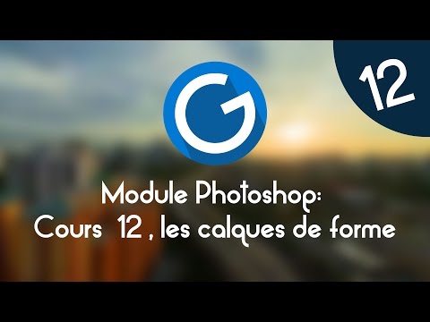 Formation IMM Module Photoshop Cours tuto 12 les formes vectorielles