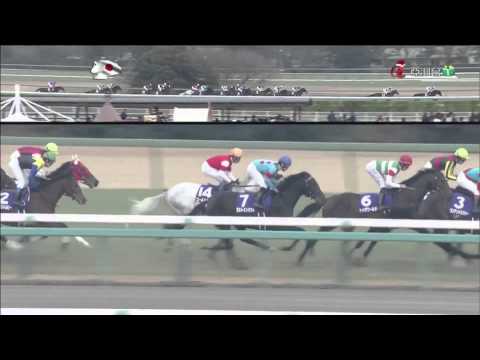 2014 Arima Kinen - Gentildonna {1080p HD}
