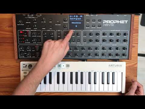 Tutorial: Reese Bass on the Prophet Rev2