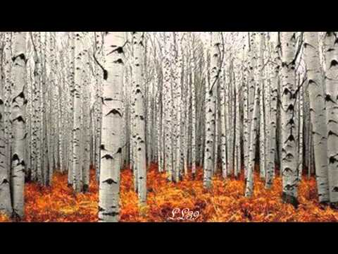 Tango Marina  - Claudius Alzner - *****