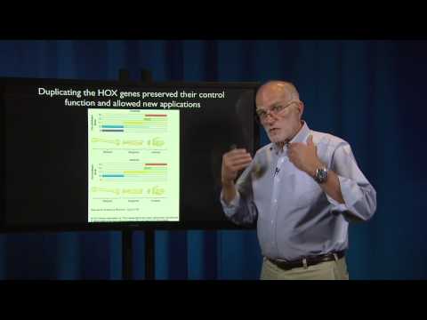 Reproduction: The Evolution of Mammalian Reproduction