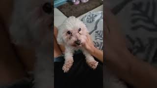 Still no owner .. very sad.. Still no owner .. very sad..