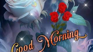 Good Morning Status Video Good Morning whatsapp St