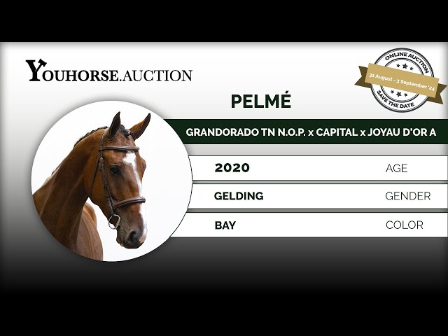 Pelmé